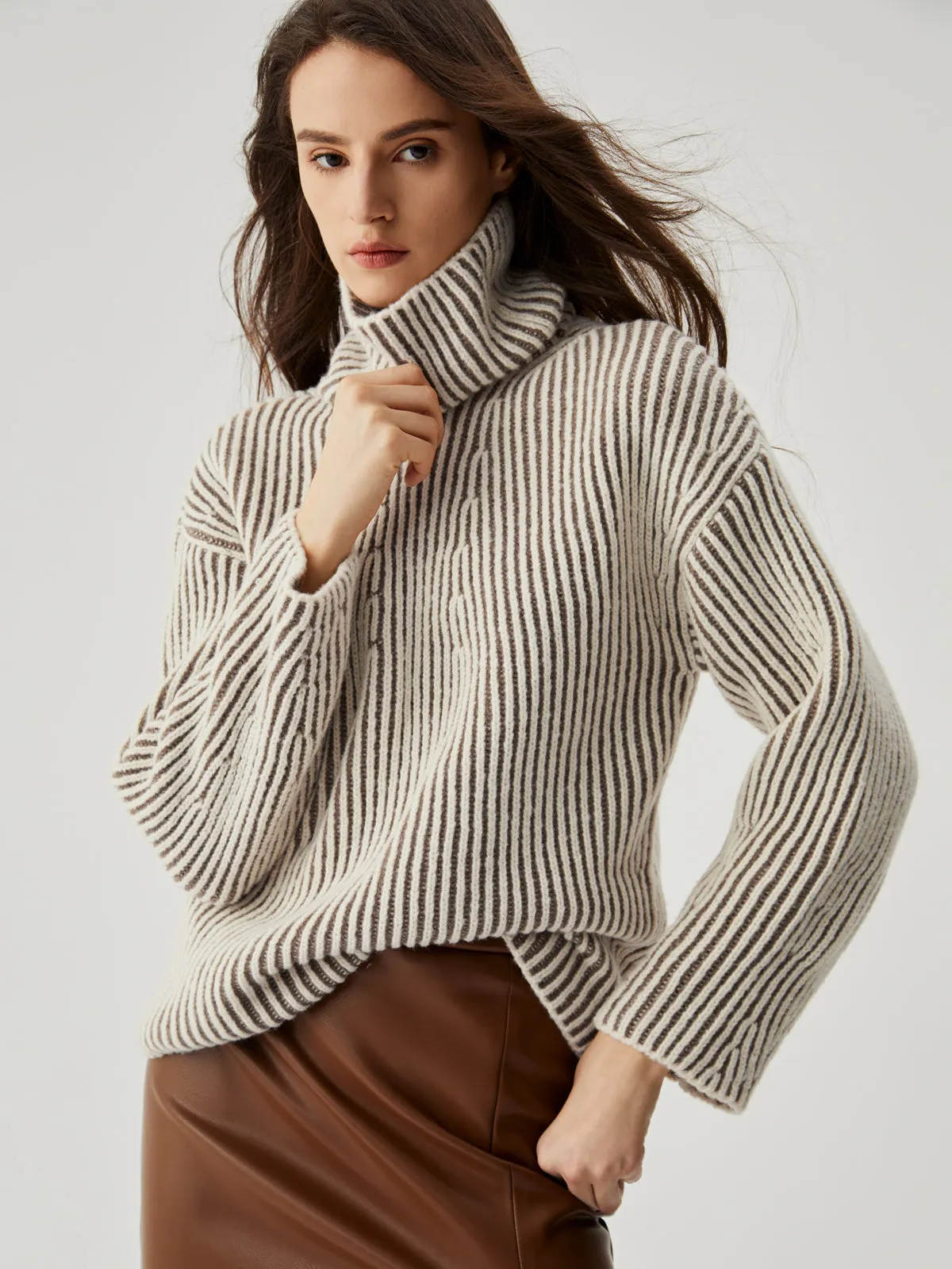 Turtleneck Striped Graceful Knit Sweater