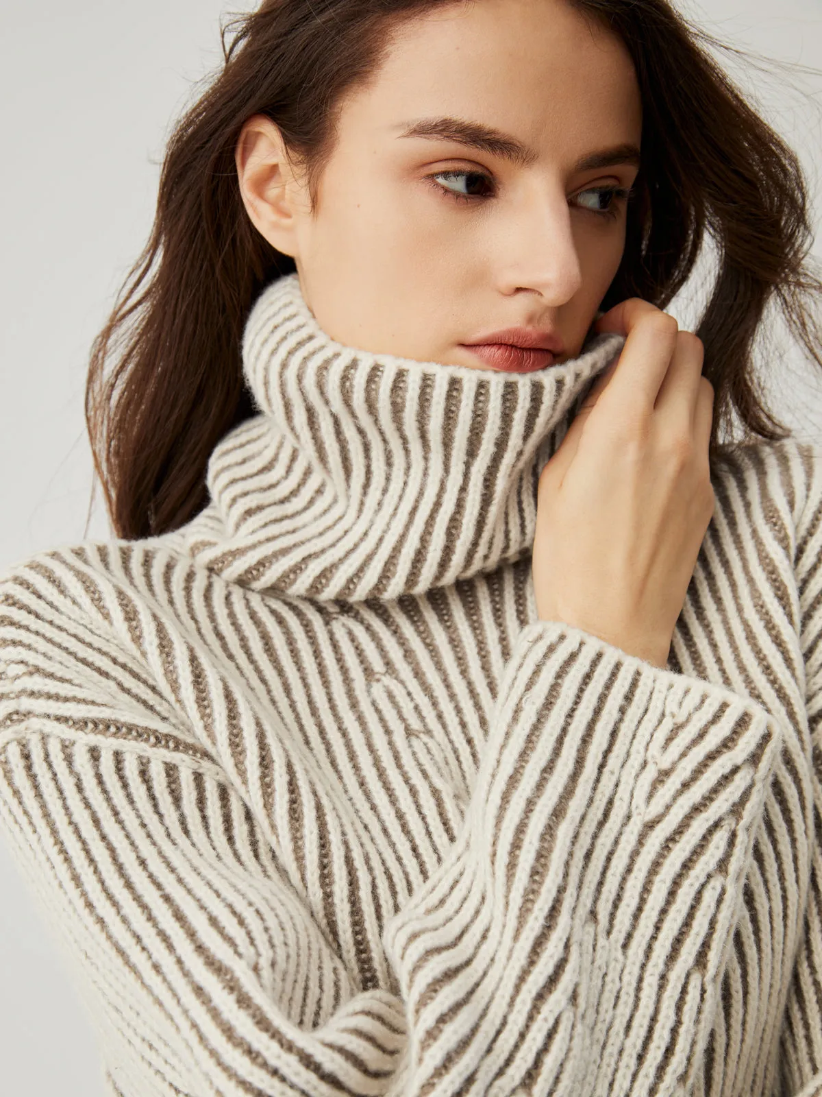 Turtleneck Striped Graceful Knit Sweater